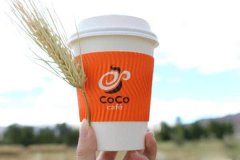 coco都可茶饮昆明的奶茶是多少加盟，奶茶店授权有什么用